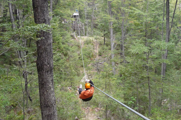 Zip Line